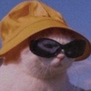 Meet your Posher, Yaretzi